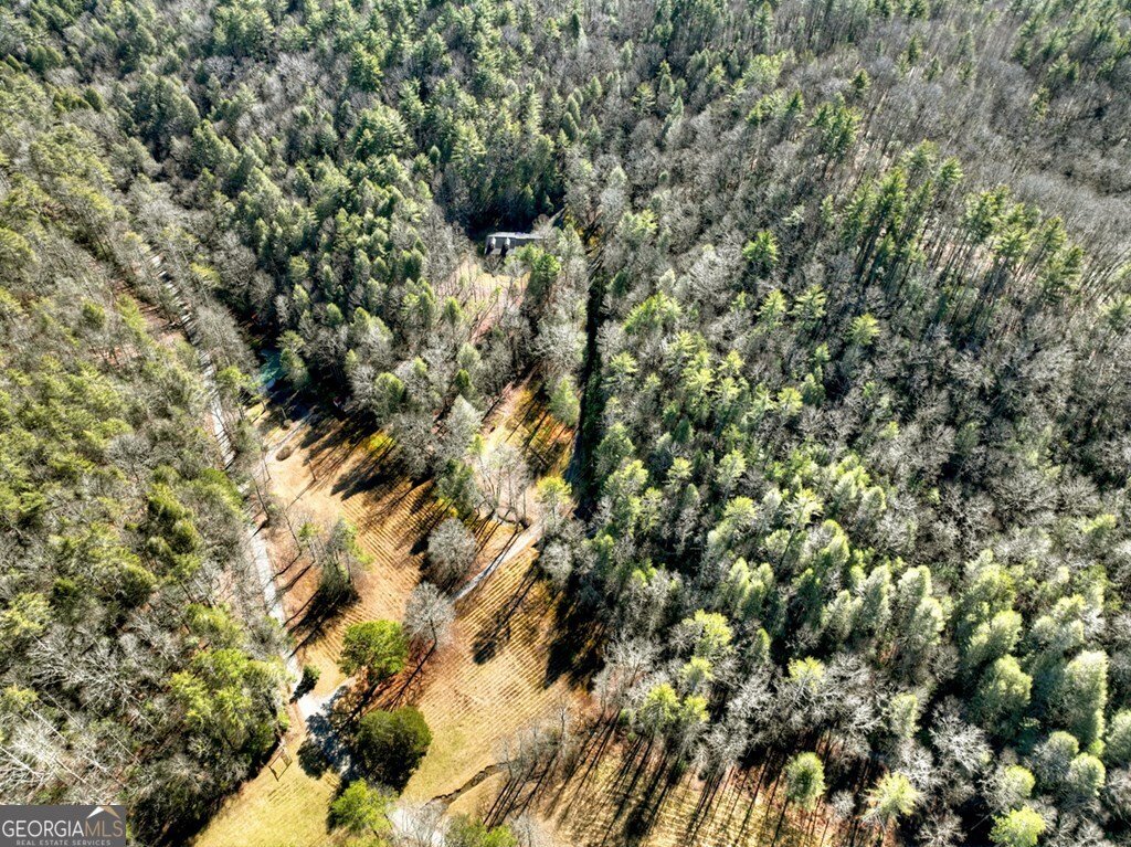 7233 Shakerag Road Ellijay - Photo 101