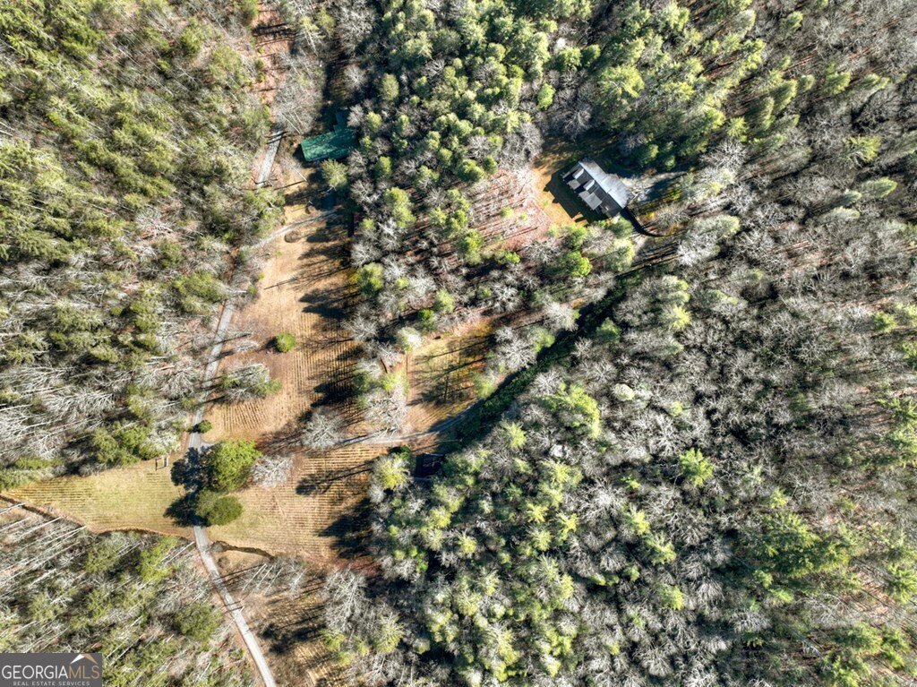 7233 Shakerag Road Ellijay - Photo 102