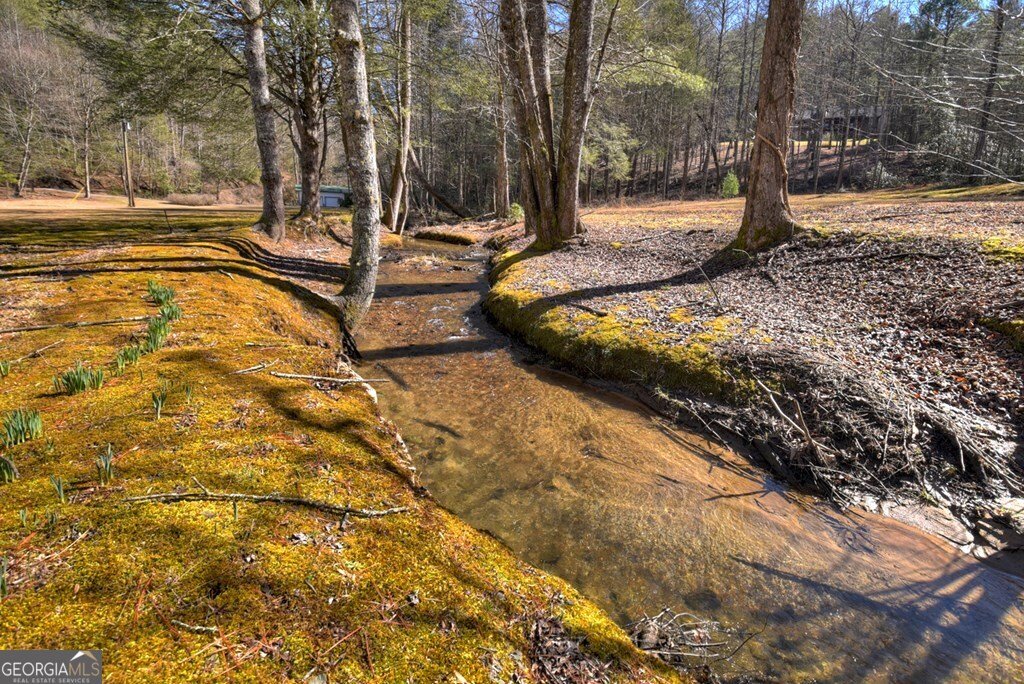 7233 Shakerag Road Ellijay - Photo 116