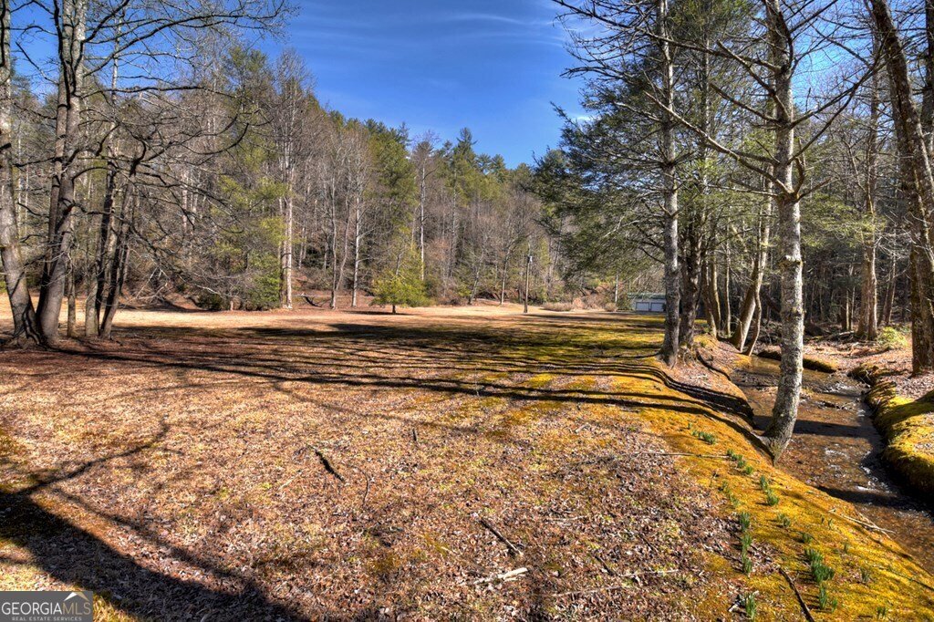 7233 Shakerag Road Ellijay - Photo 117