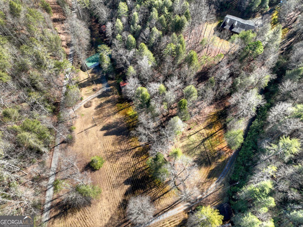 7233 Shakerag Road Ellijay - Photo 47