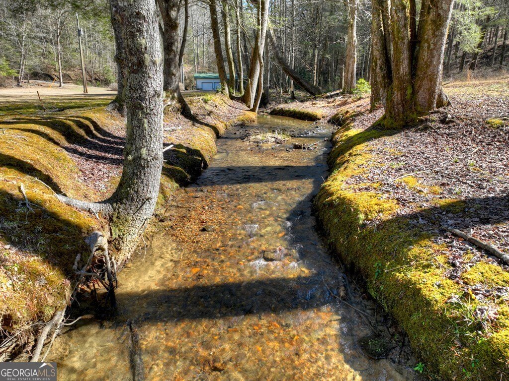 7233 Shakerag Road Ellijay - Photo 62