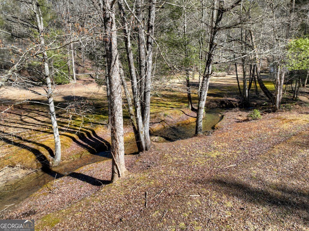 7233 Shakerag Road Ellijay - Photo 88