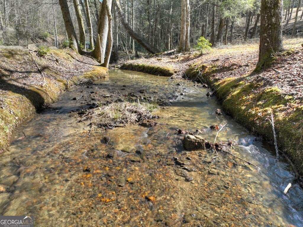 7233 Shakerag Road Ellijay - Photo 91