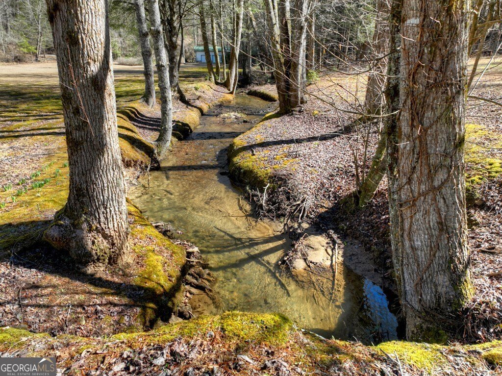 7233 Shakerag Road Ellijay - Photo 92