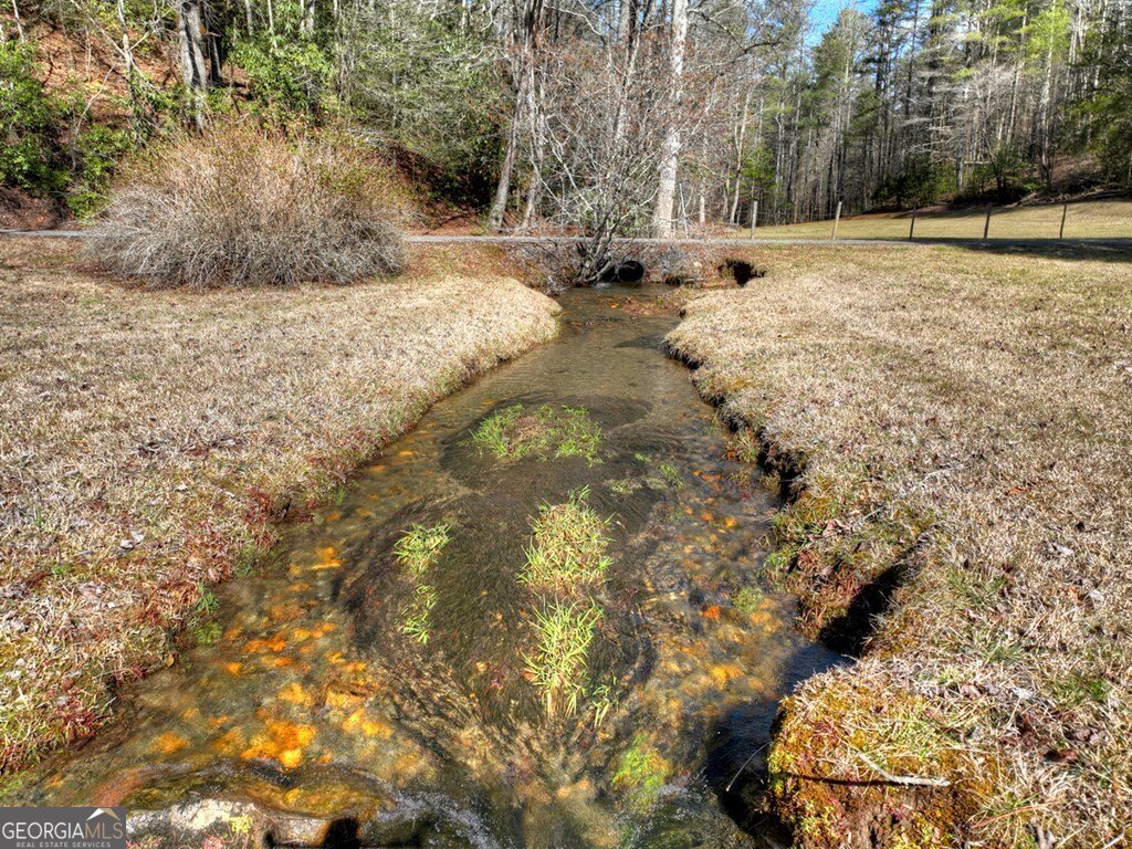 7233 Shakerag Road Ellijay - Photo 93