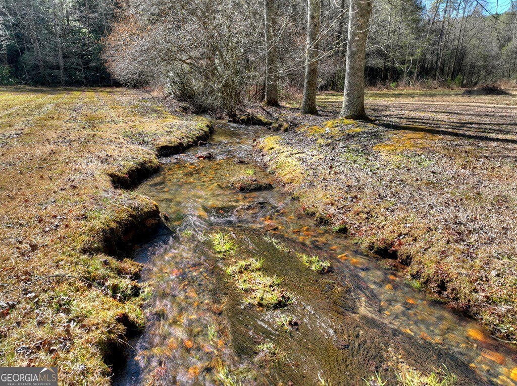 7233 Shakerag Road Ellijay - Photo 94