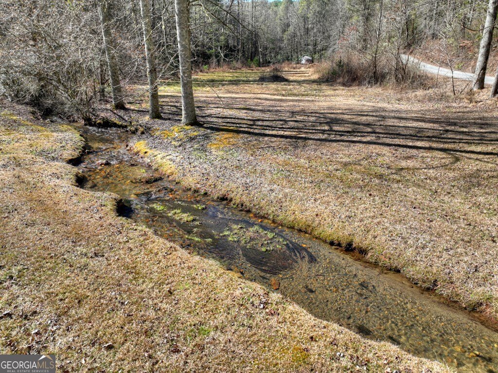 7233 Shakerag Road Ellijay - Photo 95