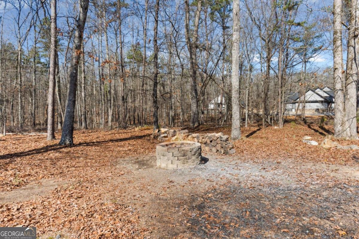 21 Branson Mill Drive Cartersville - Photo 62