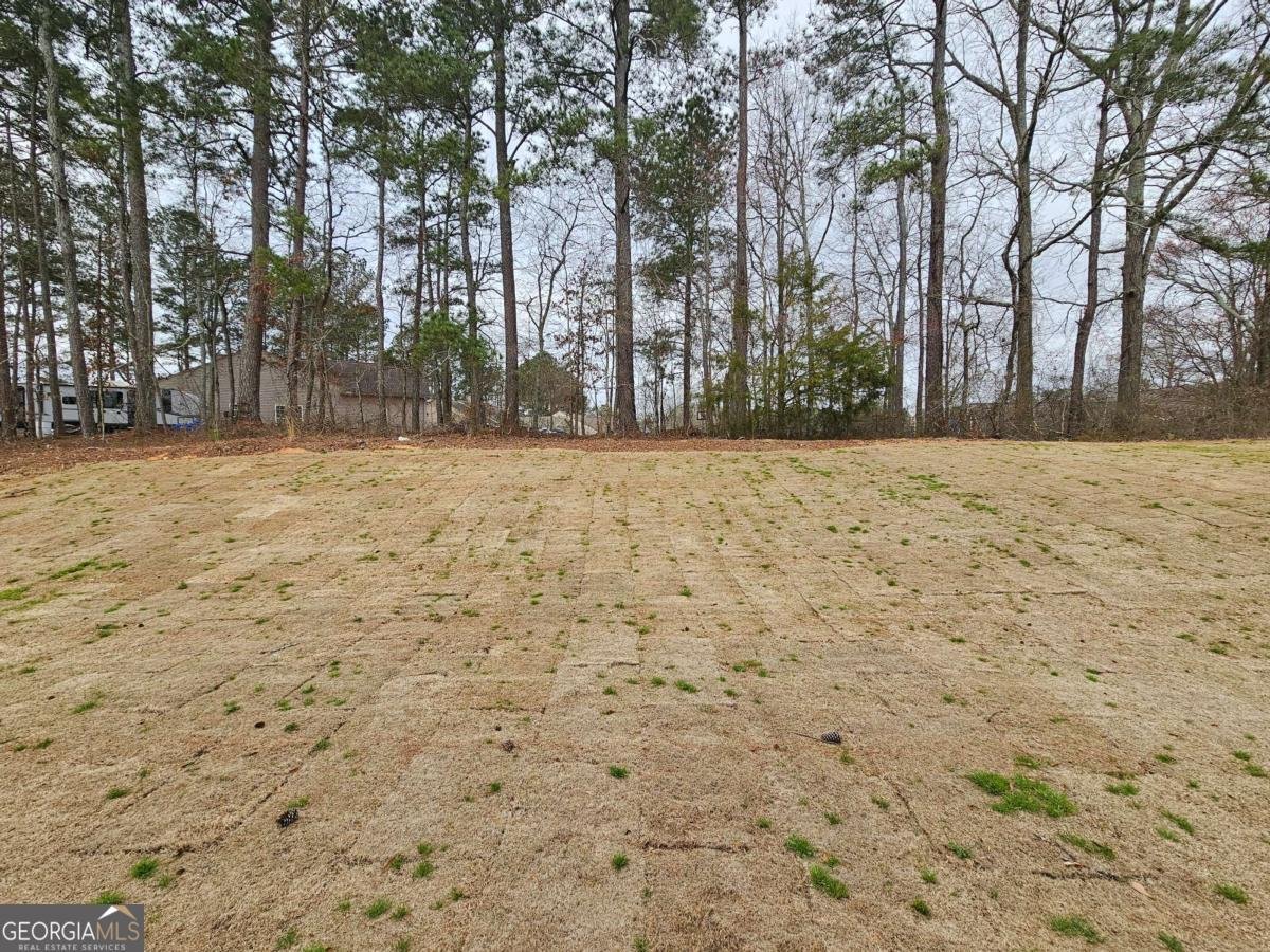 48 Silverleaf Trail Bethlehem - Photo 36