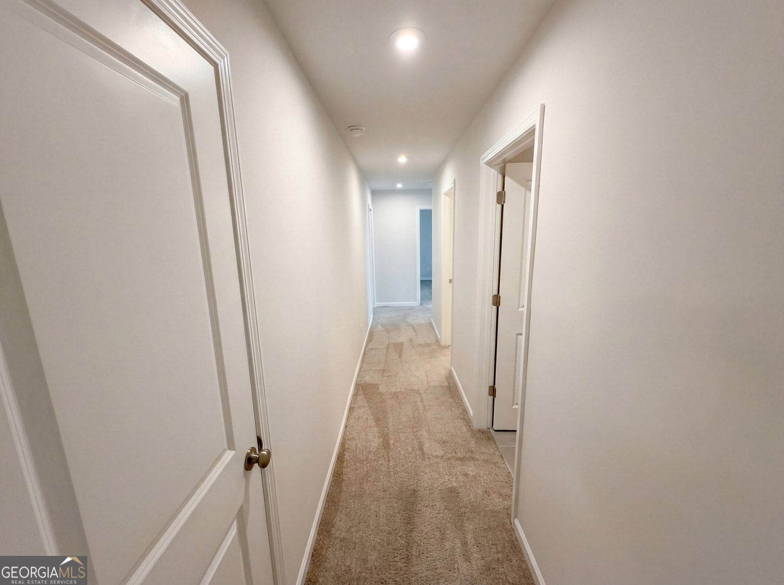 3505 Aqua Point Place Cumming - Photo 58