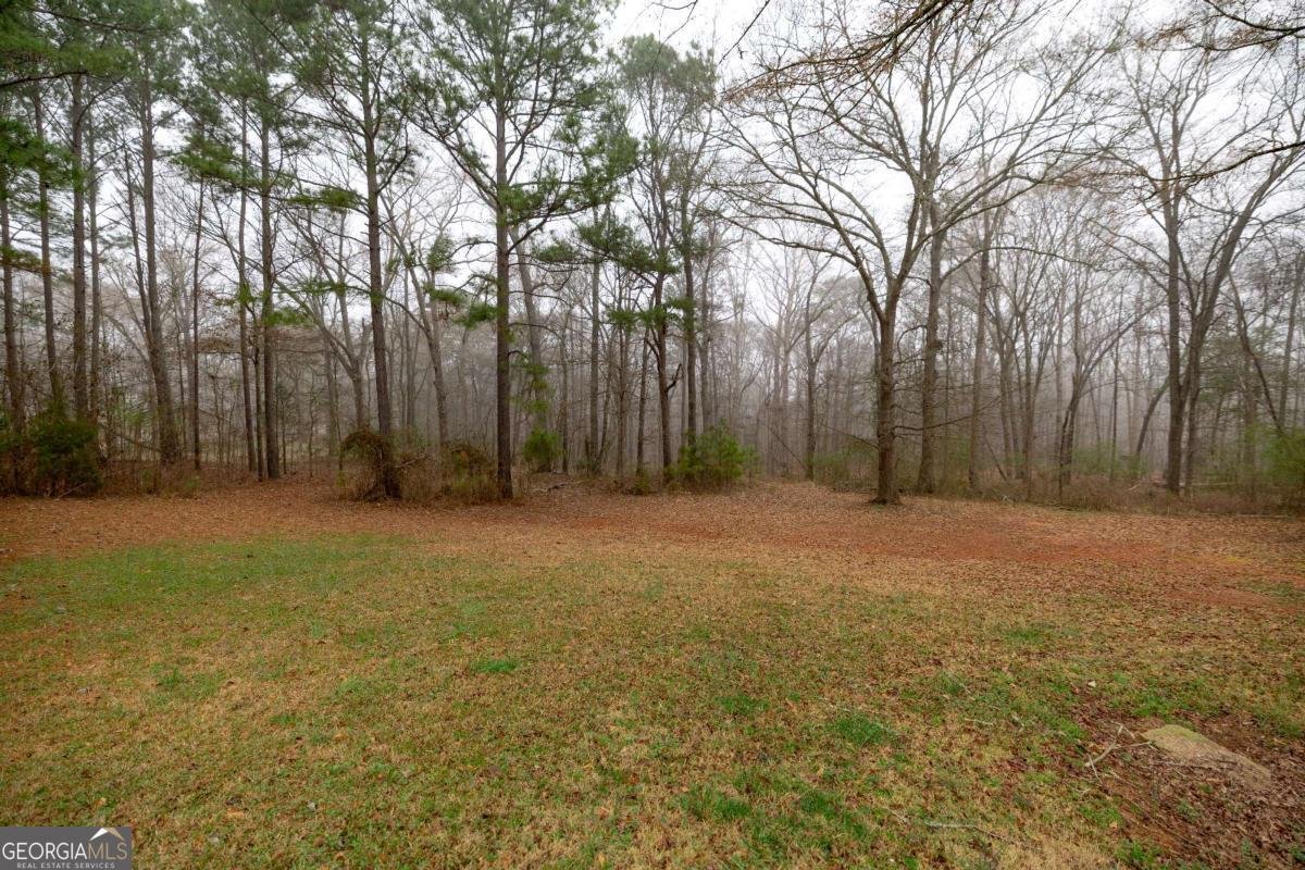 641 Honey Creek Road Mcdonough - Photo 32