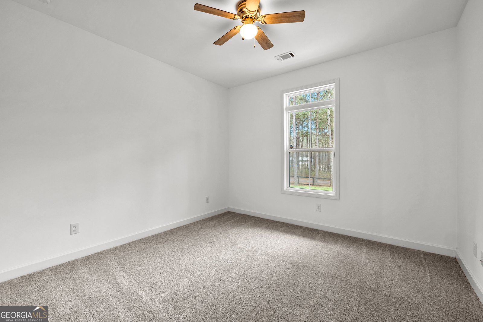 67 Spear Circle Senoia - Photo 38