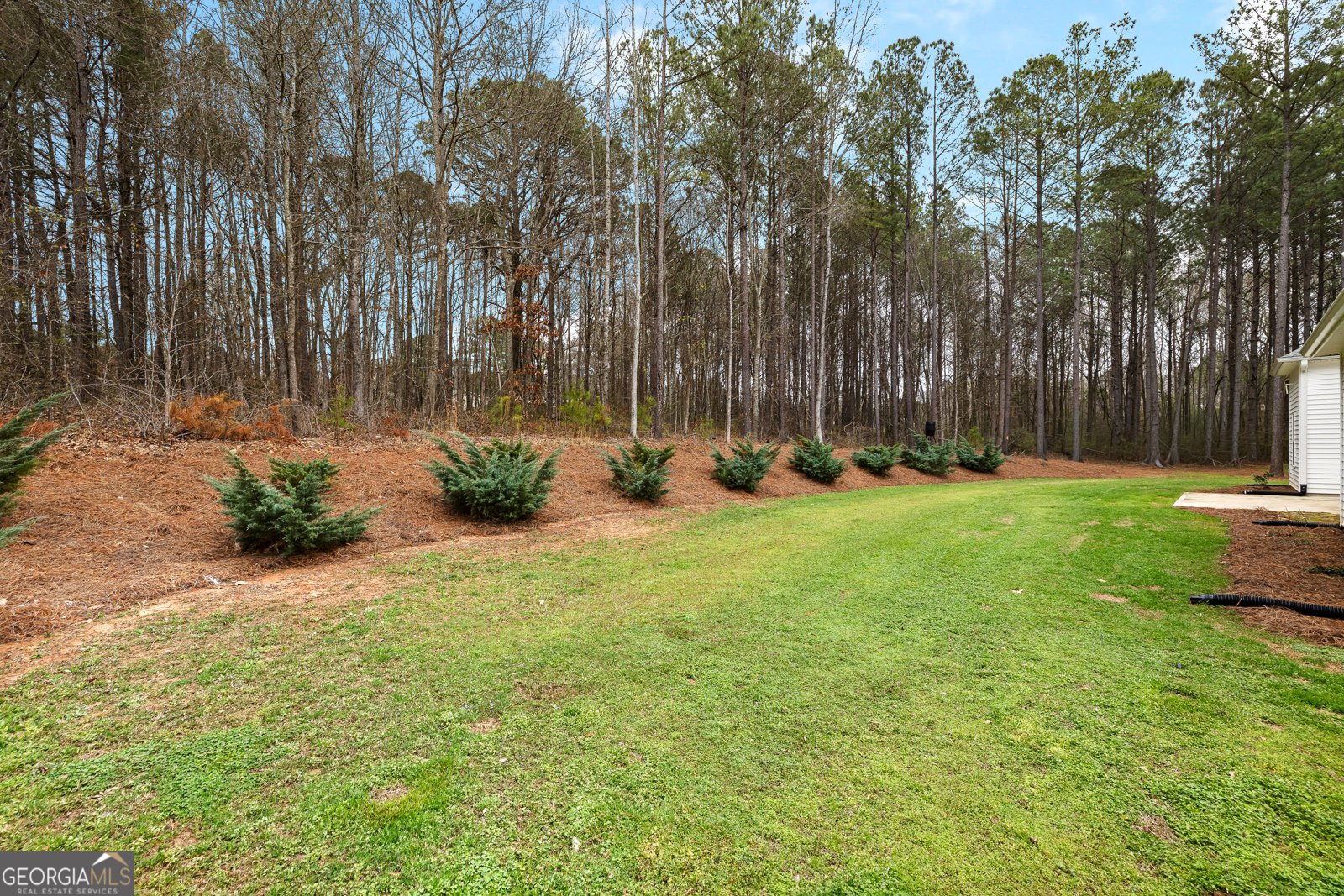 67 Spear Circle Senoia - Photo 49
