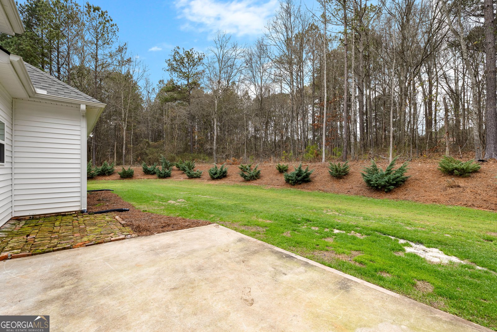 67 Spear Circle Senoia - Photo 51
