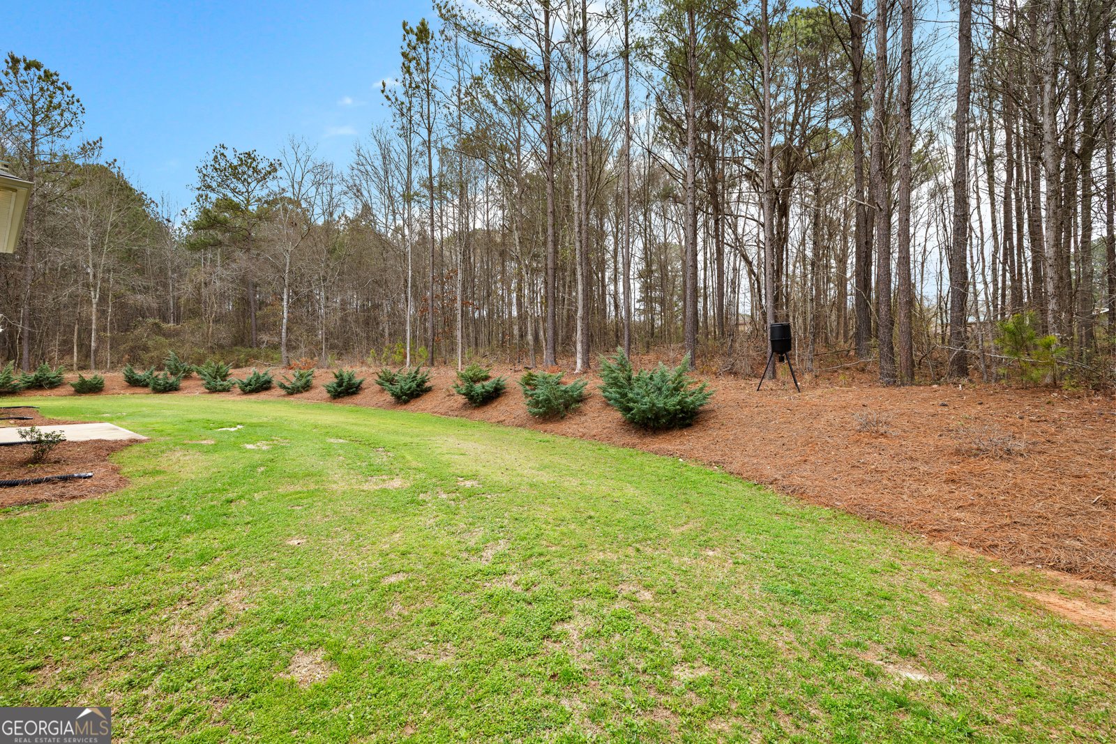67 Spear Circle Senoia - Photo 53