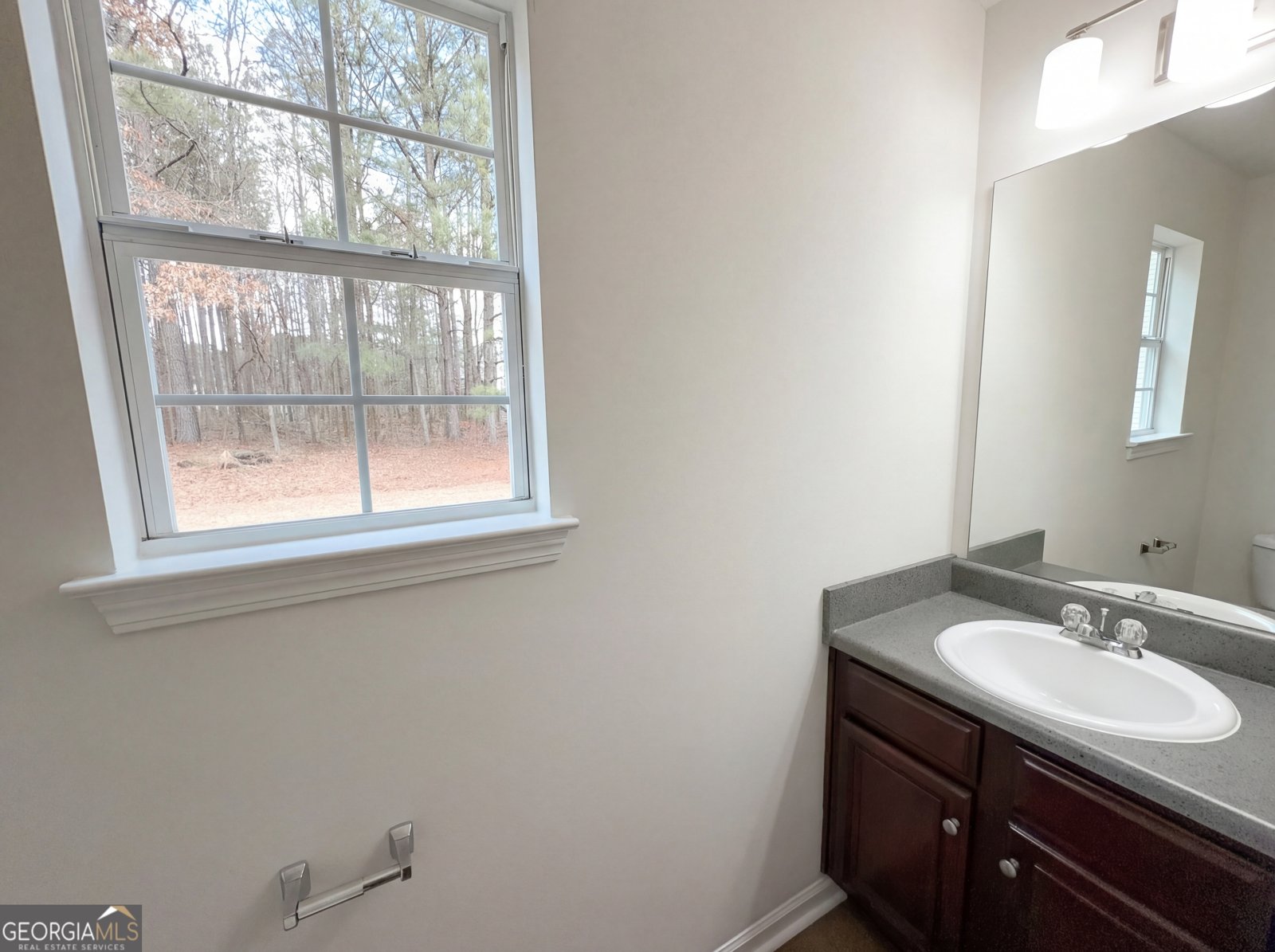 4400 Ivy Fork Drive Loganville - Photo 18