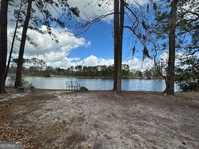 191 Island Drive Midway - Photo 22