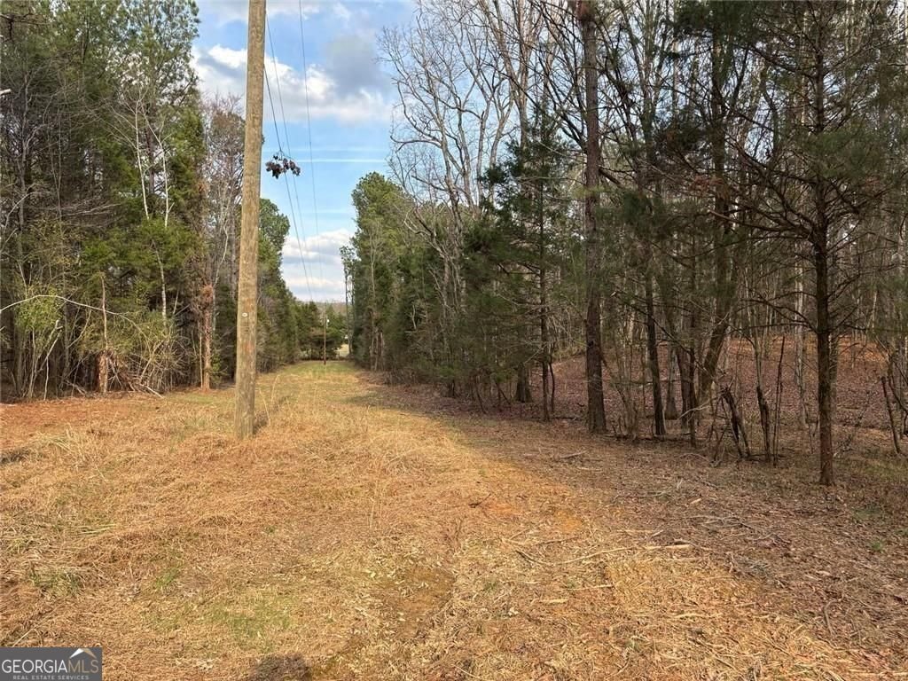 292 Shirley Road Ranger - Photo 10