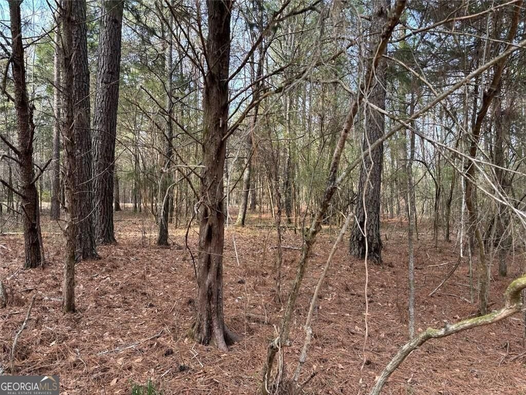 292 Shirley Road Ranger - Photo 13