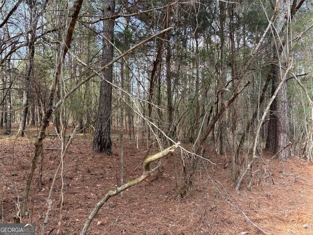 292 Shirley Road Ranger - Photo 14