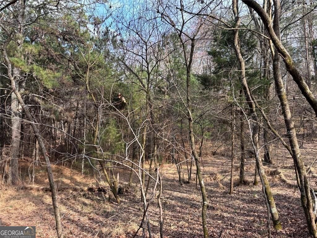 292 Shirley Road Ranger - Photo 15