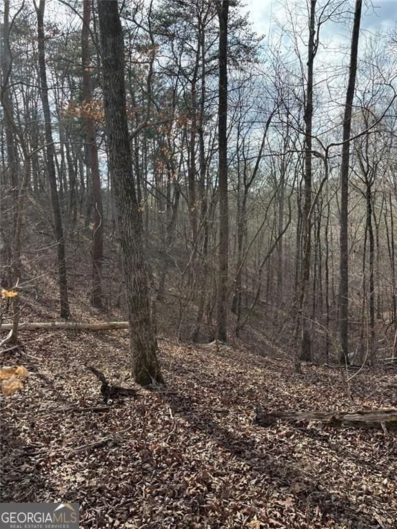 292 Shirley Road Ranger - Photo 17