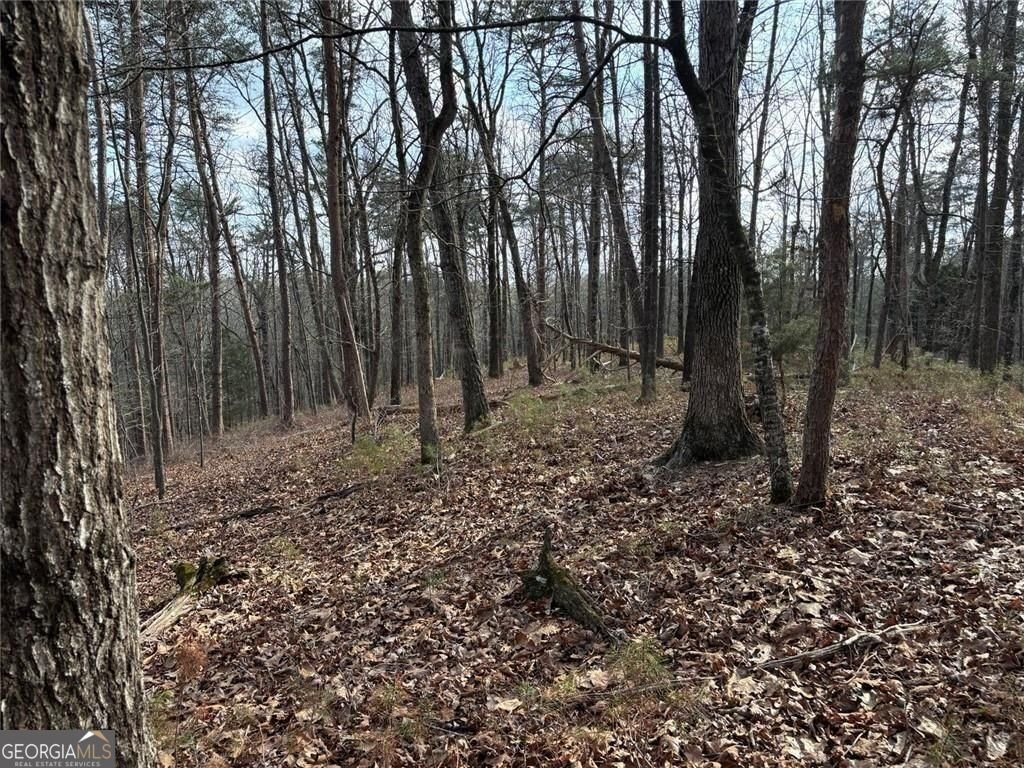 292 Shirley Road Ranger - Photo 18