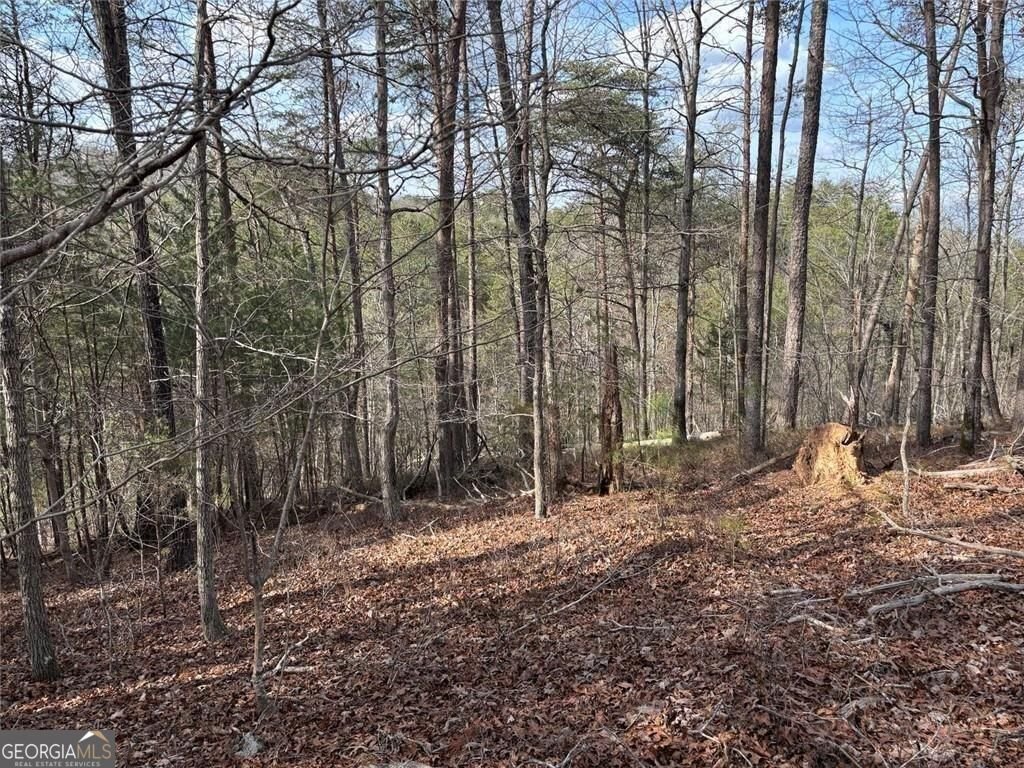 292 Shirley Road Ranger - Photo 21