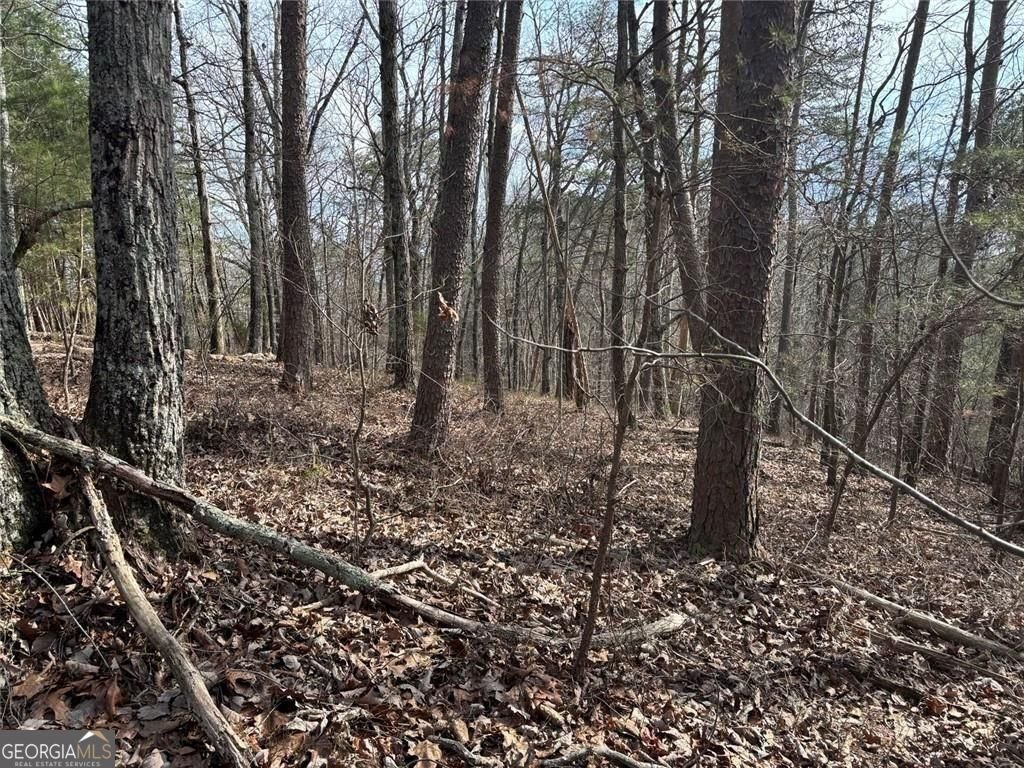 292 Shirley Road Ranger - Photo 22