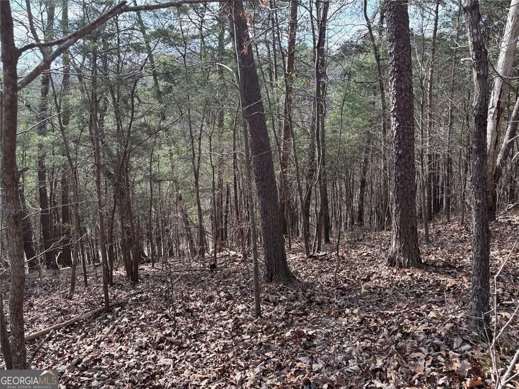 292 Shirley Road Ranger - Photo 23