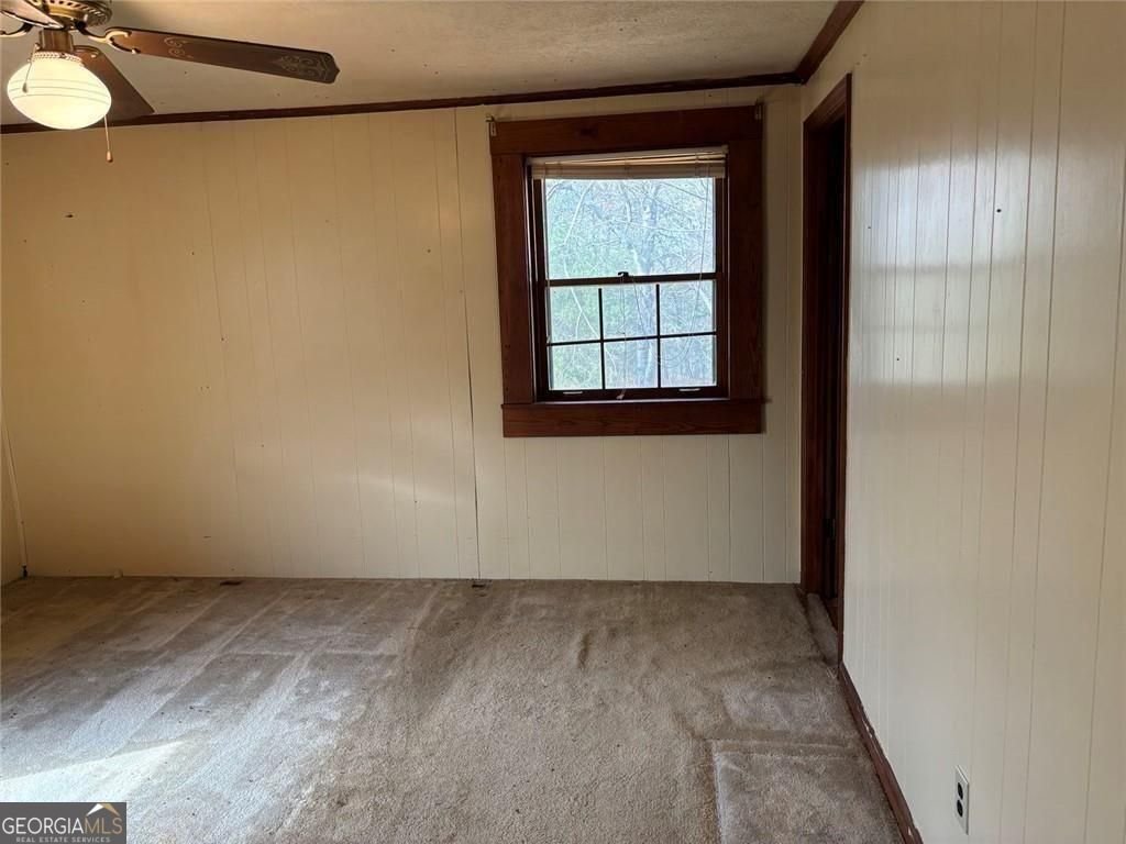 292 Shirley Road Ranger - Photo 38