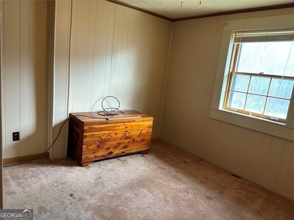 292 Shirley Road Ranger - Photo 49