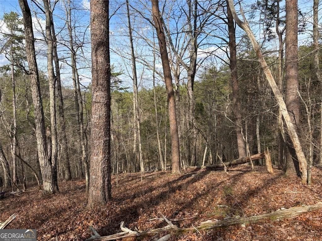 292 Shirley Road Ranger - Photo 63