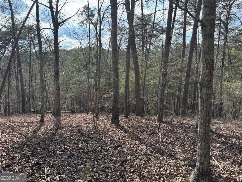 292 Shirley Road Ranger - Photo 67