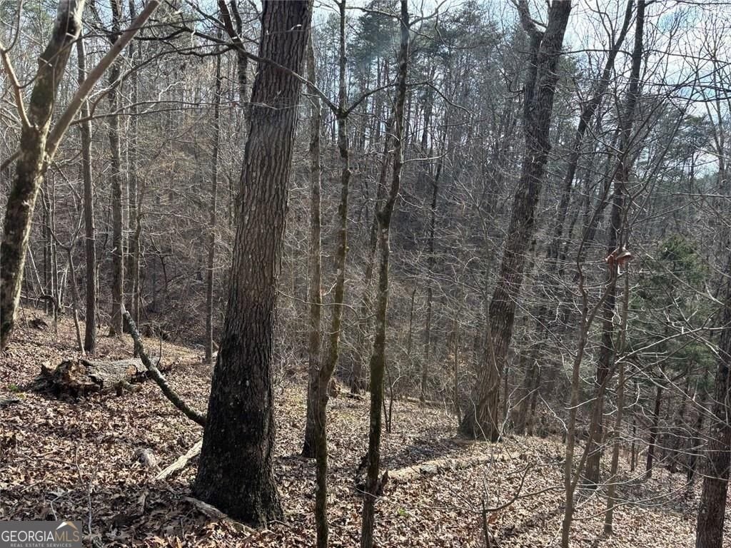 292 Shirley Road Ranger - Photo 68