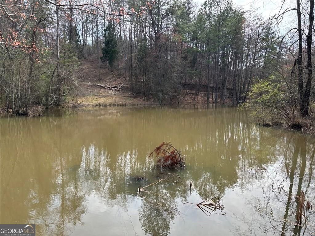 292 Shirley Road Ranger - Photo 69