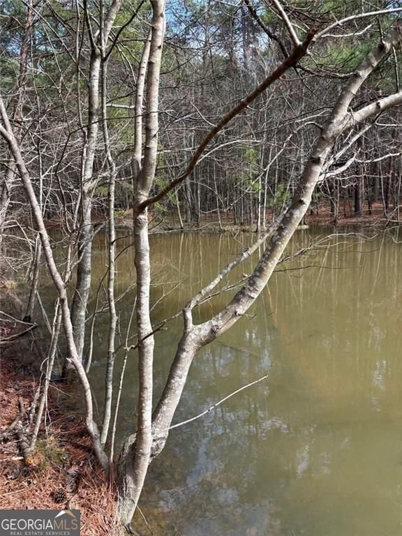 292 Shirley Road Ranger - Photo 70