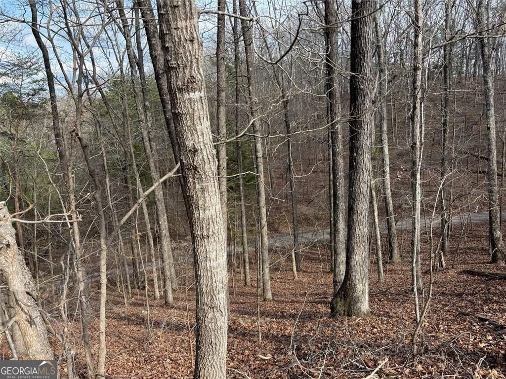 292 Shirley Road Ranger - Photo 71