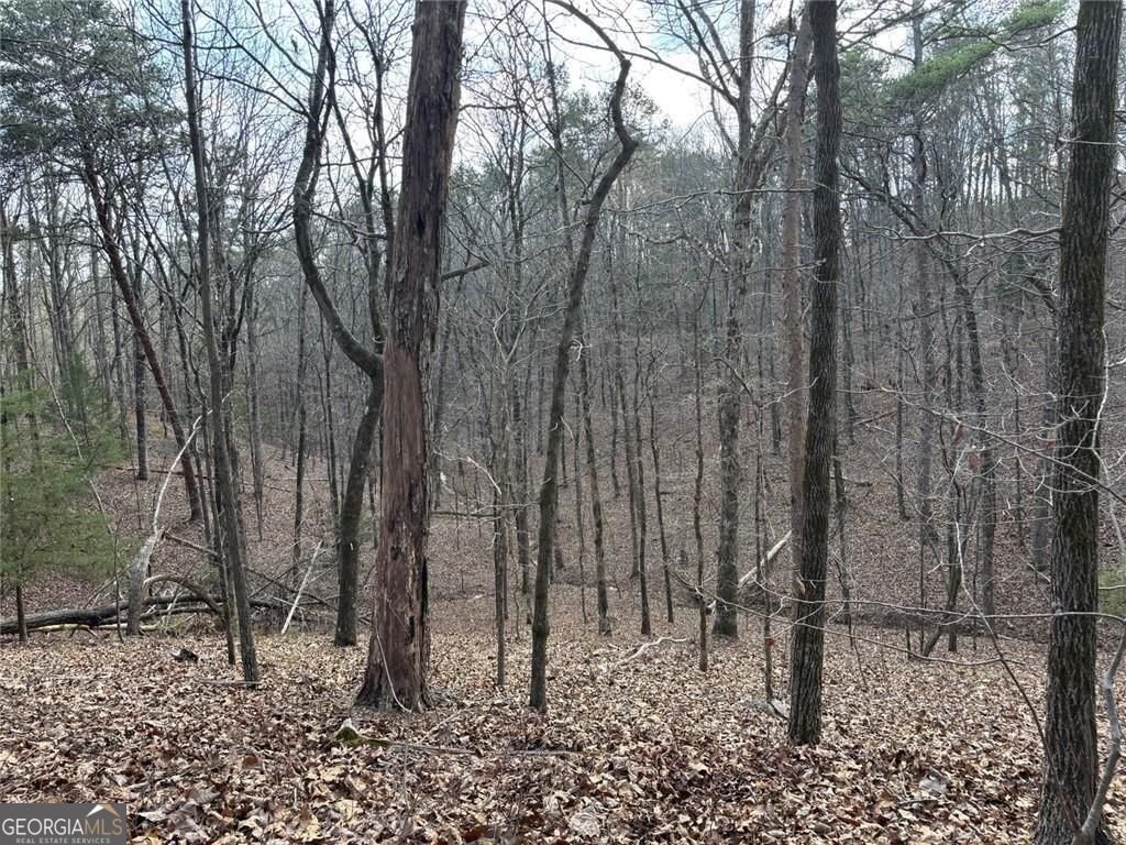 292 Shirley Road Ranger - Photo 72