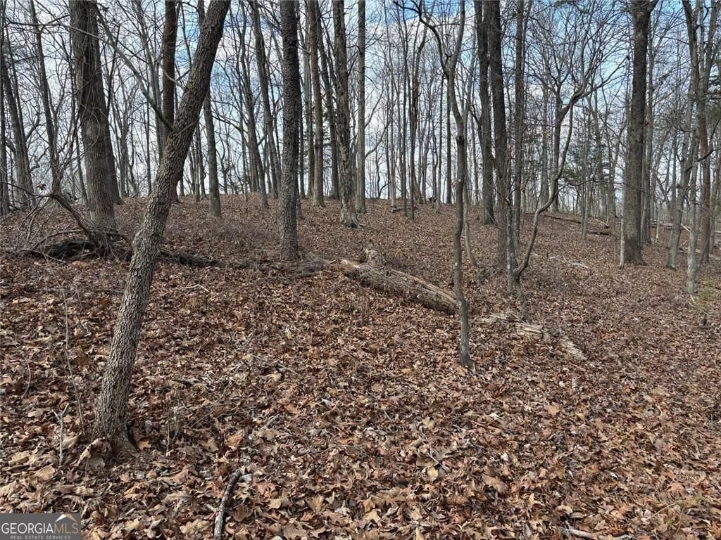 292 Shirley Road Ranger - Photo 73