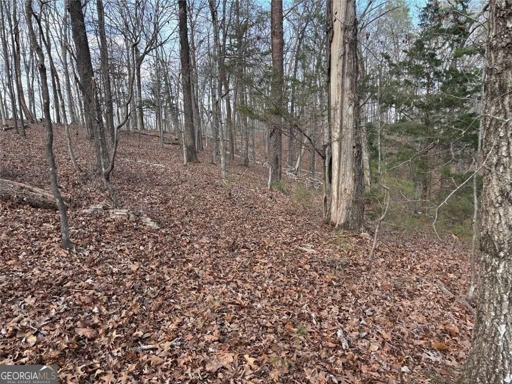 292 Shirley Road Ranger - Photo 74