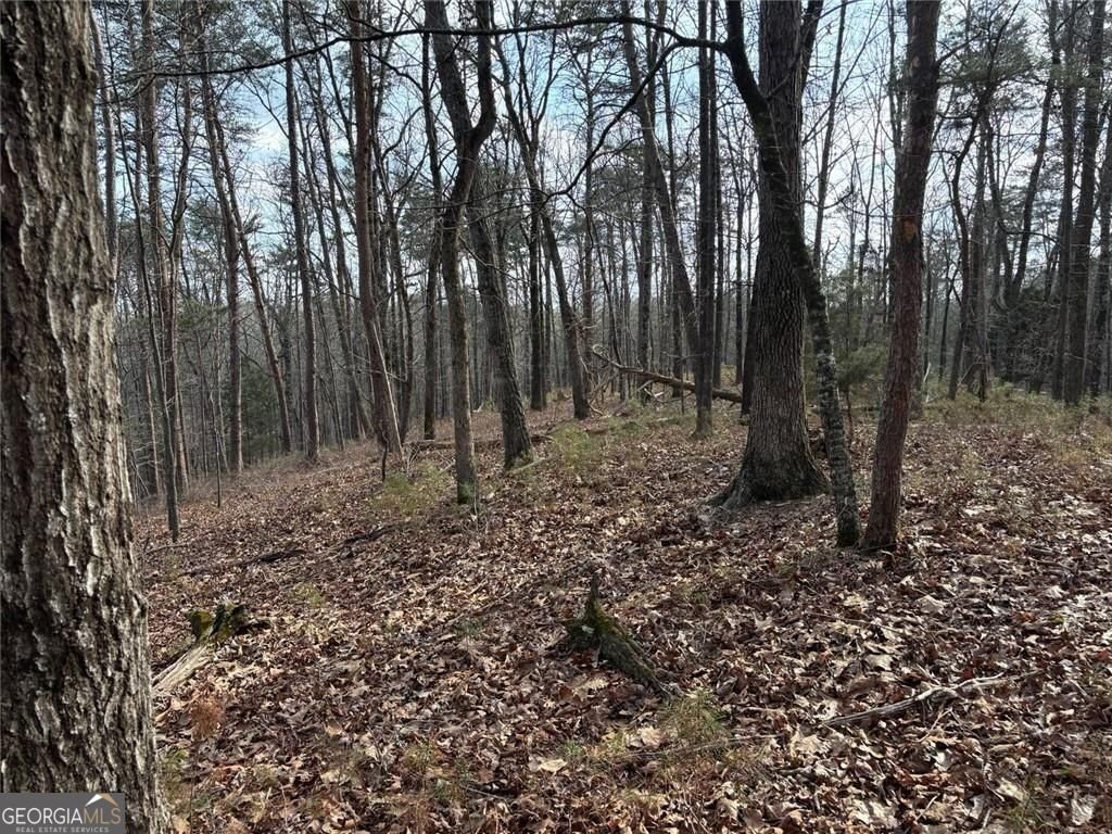 292 Shirley Road Ranger - Photo 75