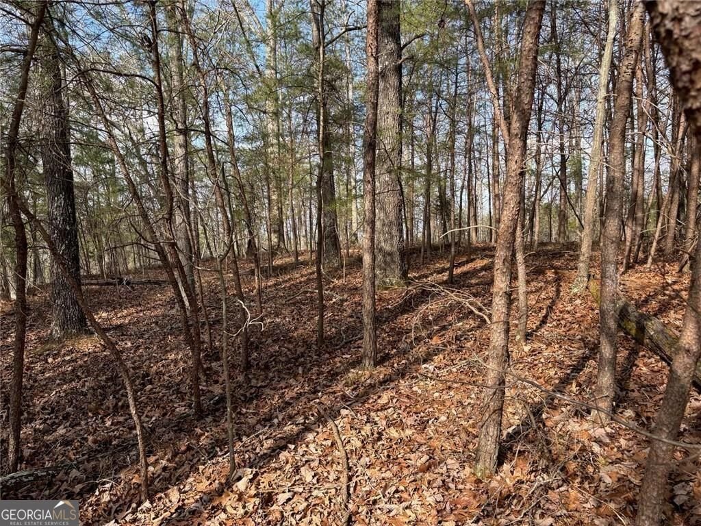 292 Shirley Road Ranger - Photo 76