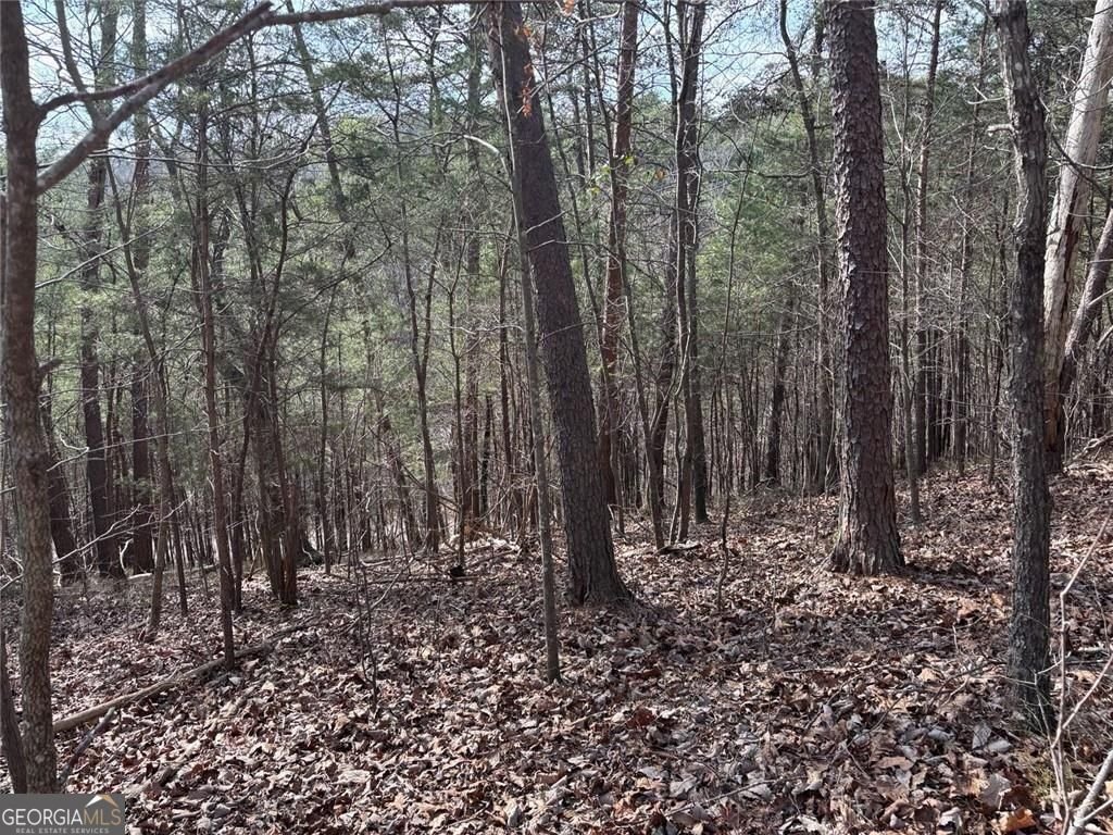 292 Shirley Road Ranger - Photo 78