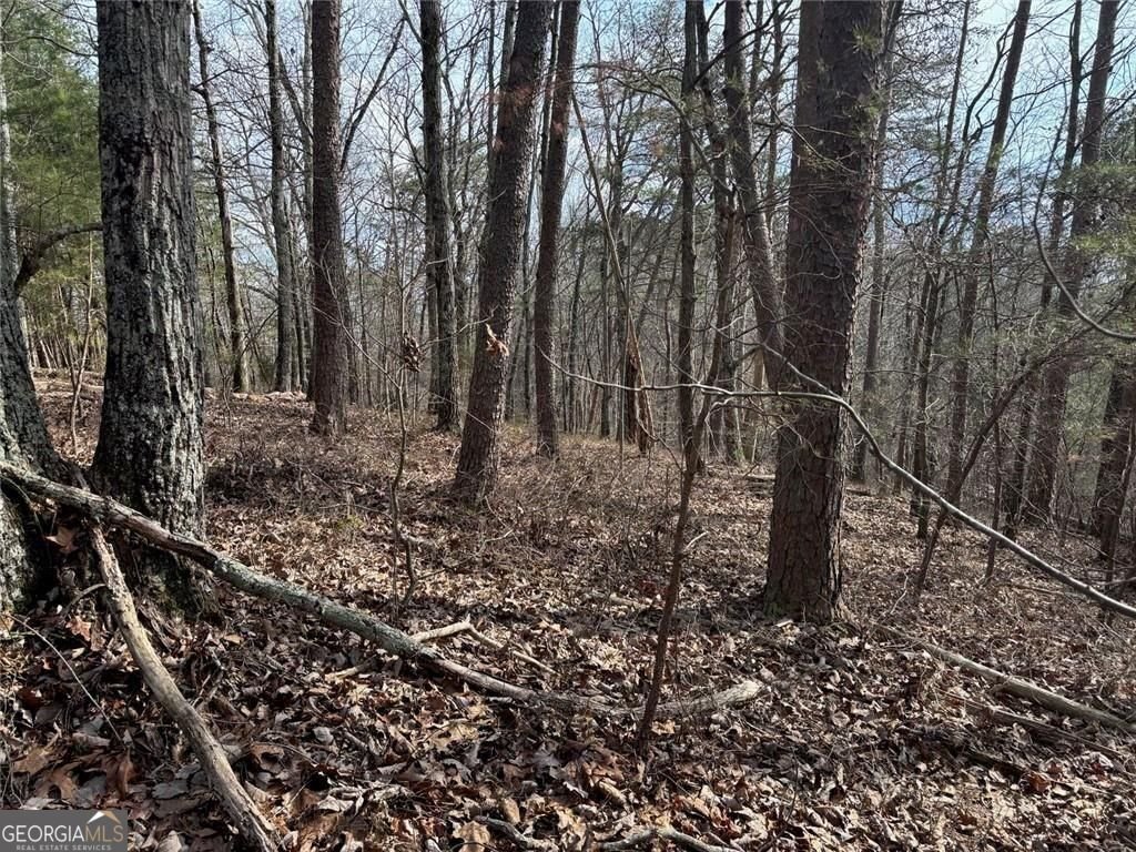 292 Shirley Road Ranger - Photo 79