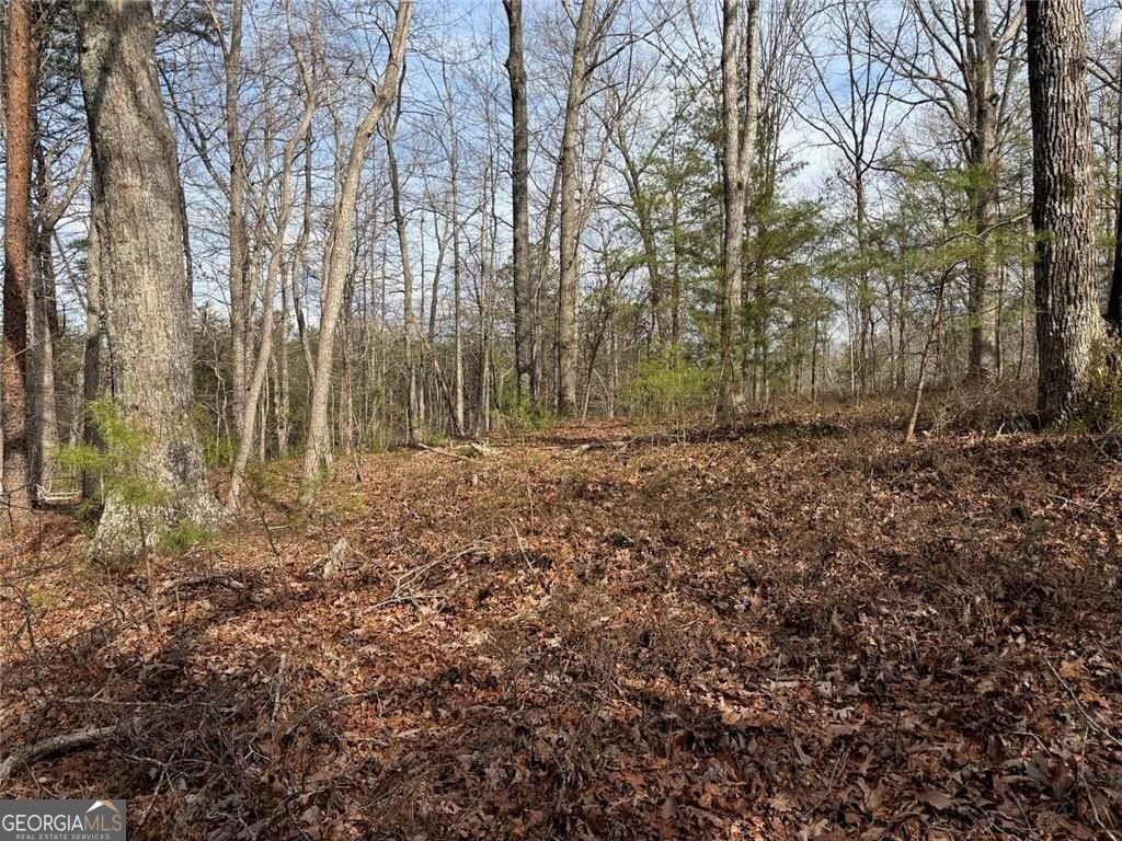 292 Shirley Road Ranger - Photo 80