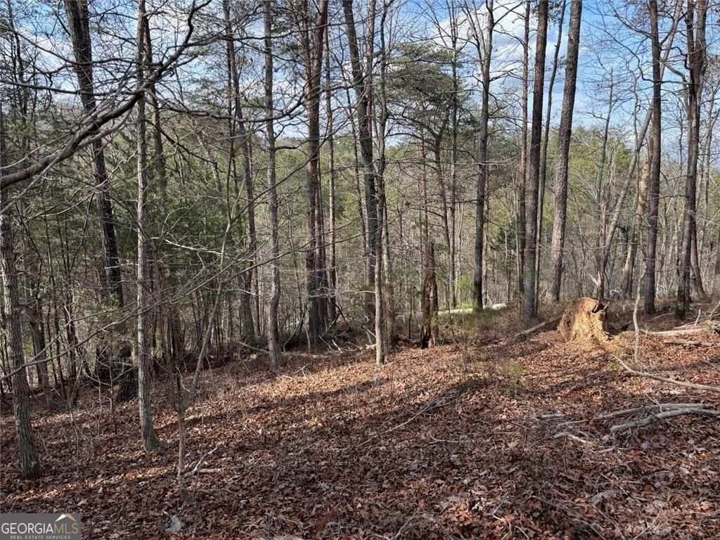 292 Shirley Road Ranger - Photo 81