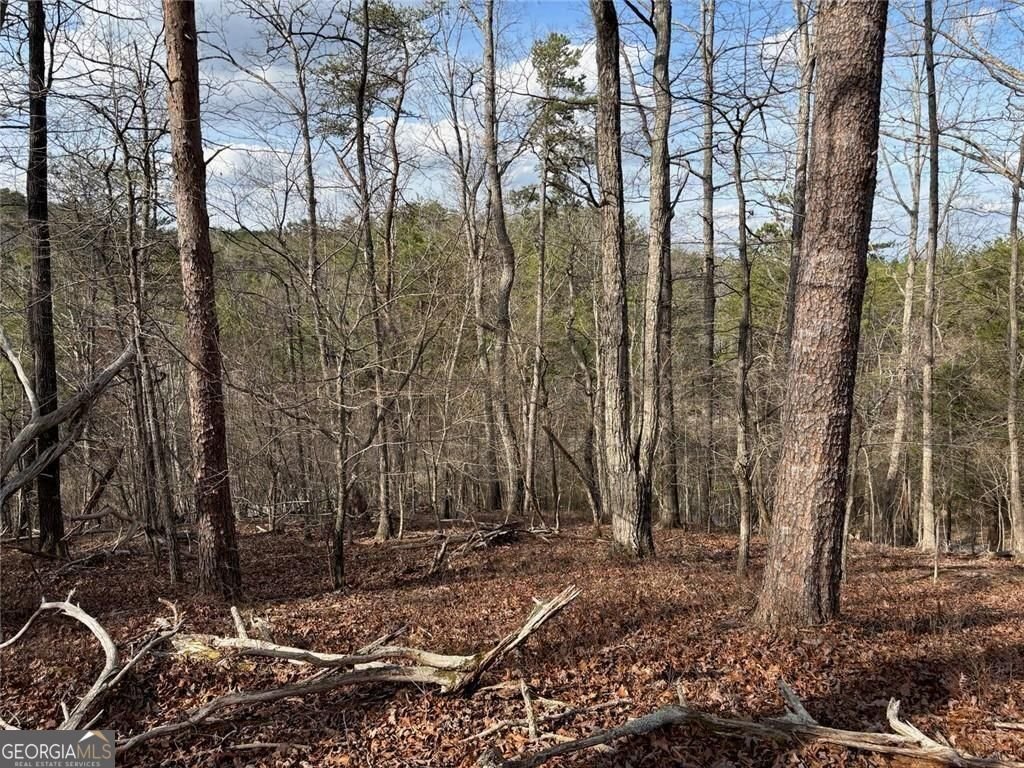 292 Shirley Road Ranger - Photo 82