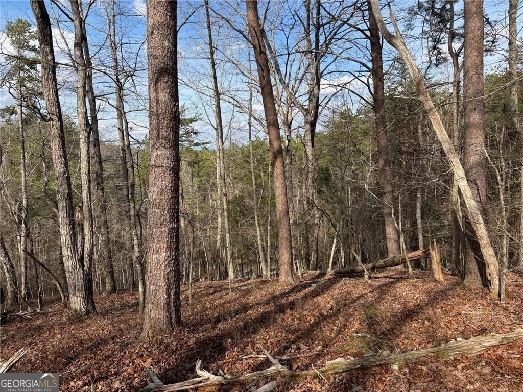 292 Shirley Road Ranger - Photo 83